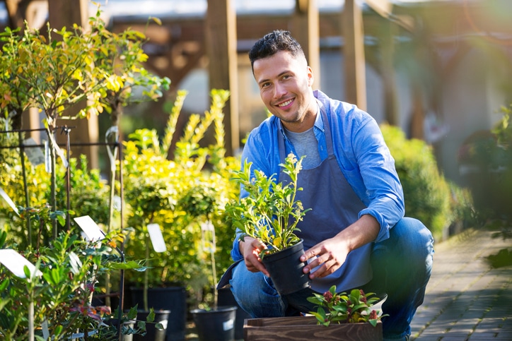 Man in a blue shirt working at a garden shop surrounded by green plants